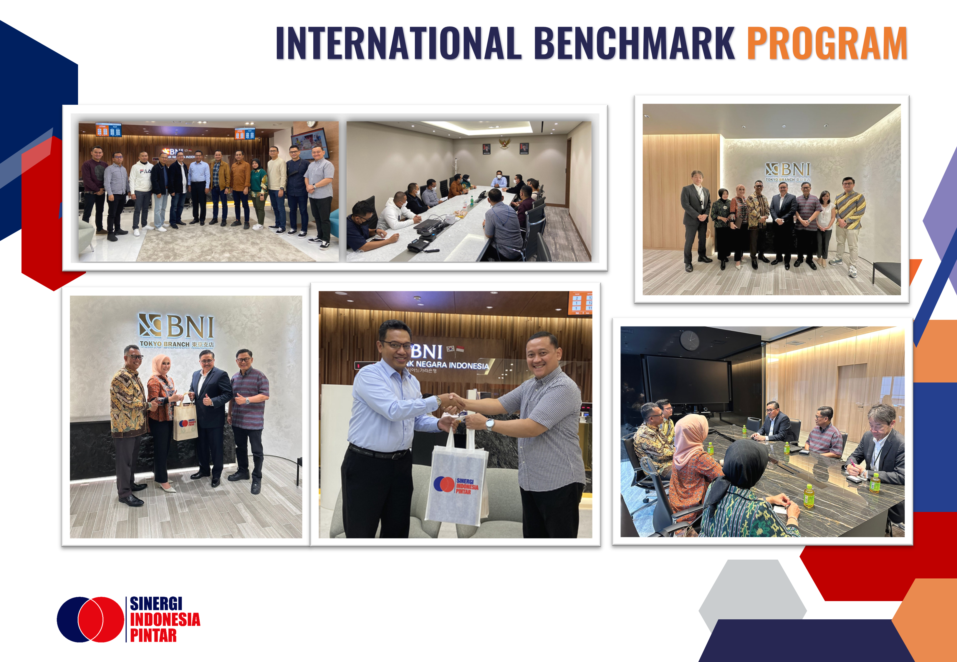 International Benchmarking Program